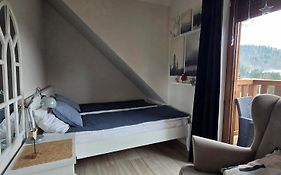 Apartamenty Homole Mansarda